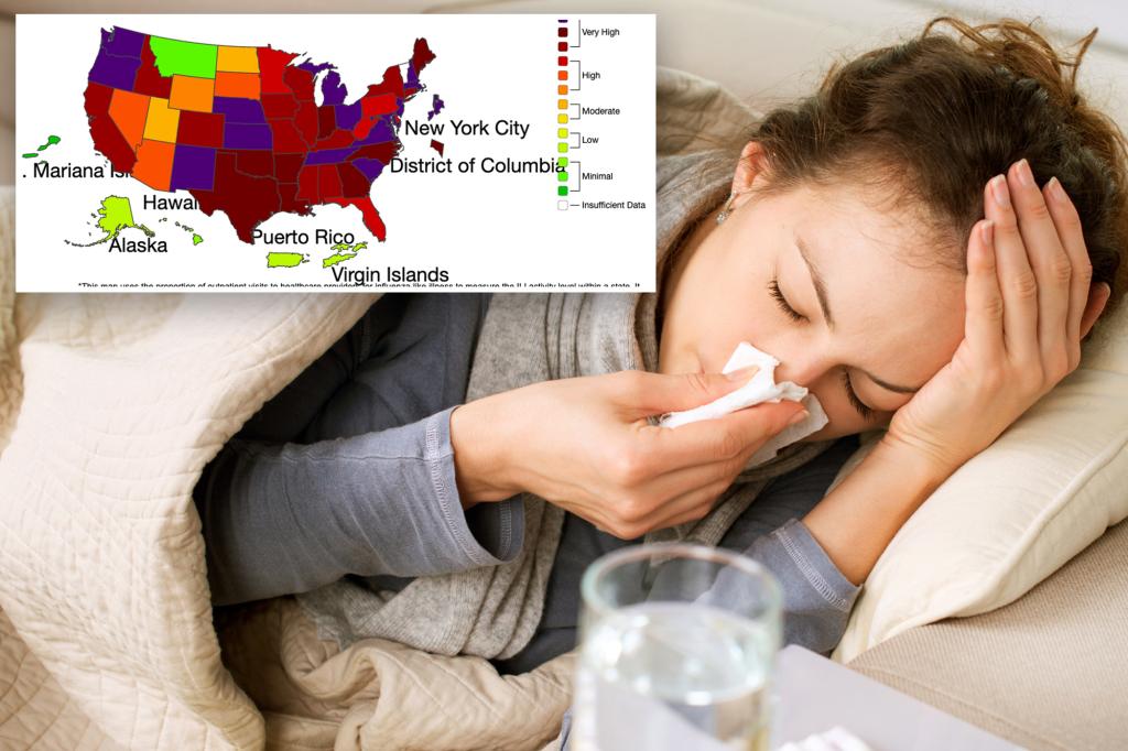 Influenza cases are higher in these US states: View map